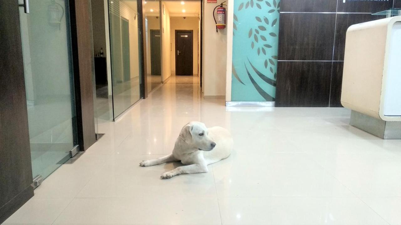 Hotel Sai Srushti By Neem Square Shirdi Zewnętrze zdjęcie
